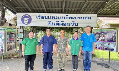 ศวพ. ภาคเหนือตอนล่าง ออกตรวจสุขภาพแพะและเก็บตัวอย่างเพื่อตรวจวินิจฉัยทางห้องปฏิบัติการในโครงการผลิตแพะพระราชทาน เพื่อนช่วยเพื่อน พื้นที่ภาคเหนือ จังหวัดพิษณุโลก