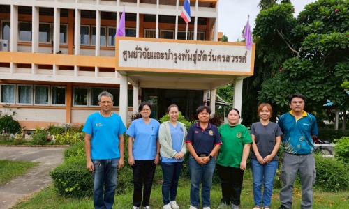 ศวพ. ภาคเหนือตอนล่าง เข้าร่วมดำเนินการควบคุมโรคในแกะเนื้อที่ให้ผลบวกต่อโรคบรูเซลลา(โรคแท้งติดต่อ) จังหวัดนครสวรรค์