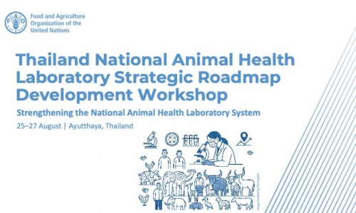 ผอ.ศวพ.ภาคเหนือตอนล่าง เข้าร่วมประชุมเชิงปฏิบัติการ National Laboratory Strategic Roadmap Development