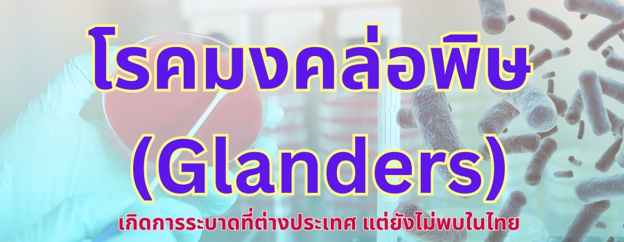 โรคมงคล่อพิษ ระบาดที่ฟิลิปปินส์