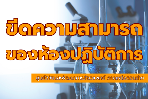 ขีดความสามารถ